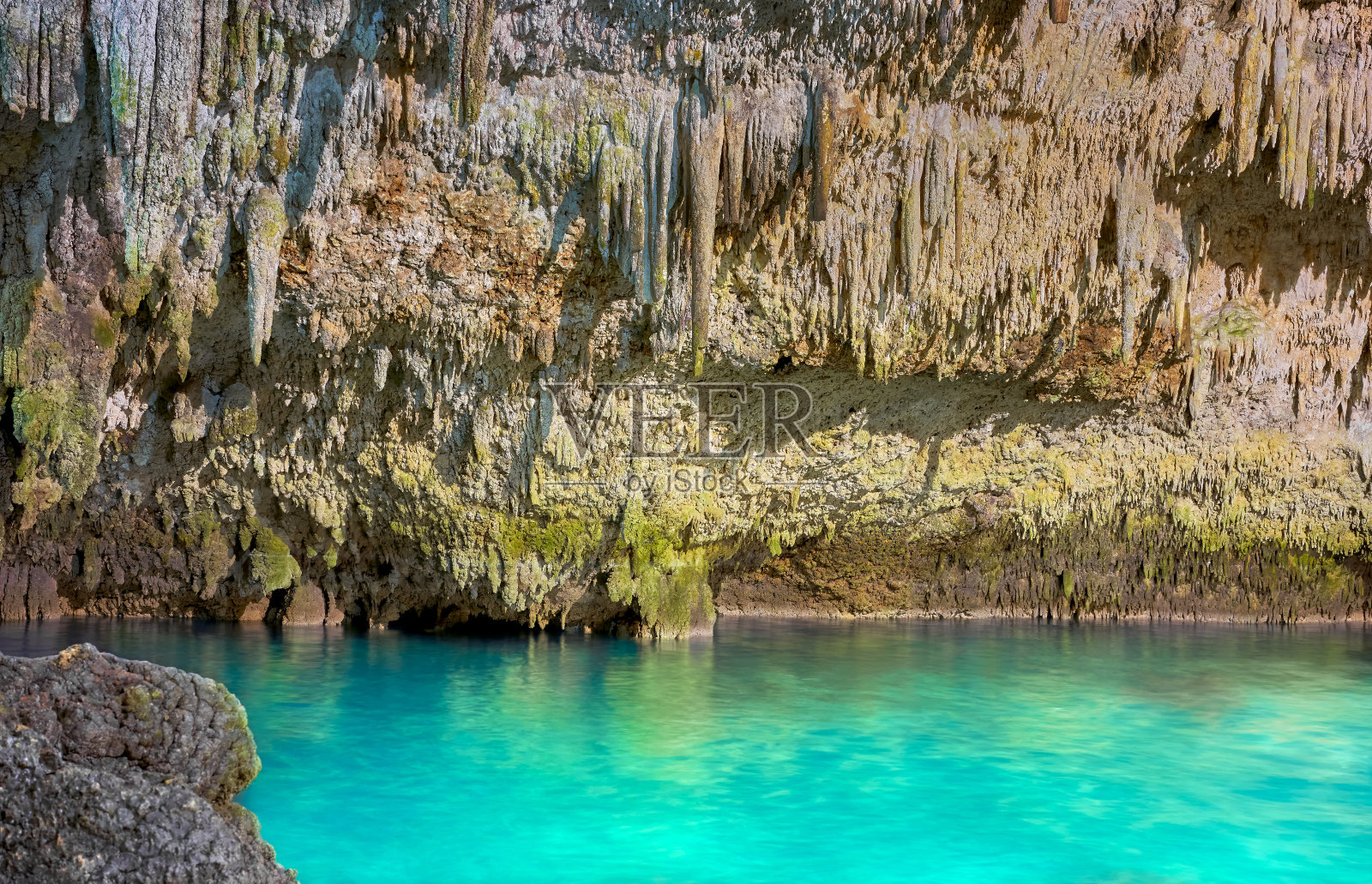 墨西哥尤卡坦半岛的天然井内部。照片摄影图片