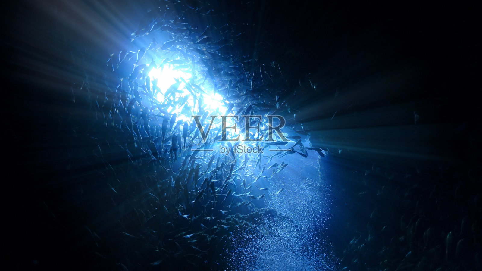 洞穴里水下的光线和鱼群照片摄影图片