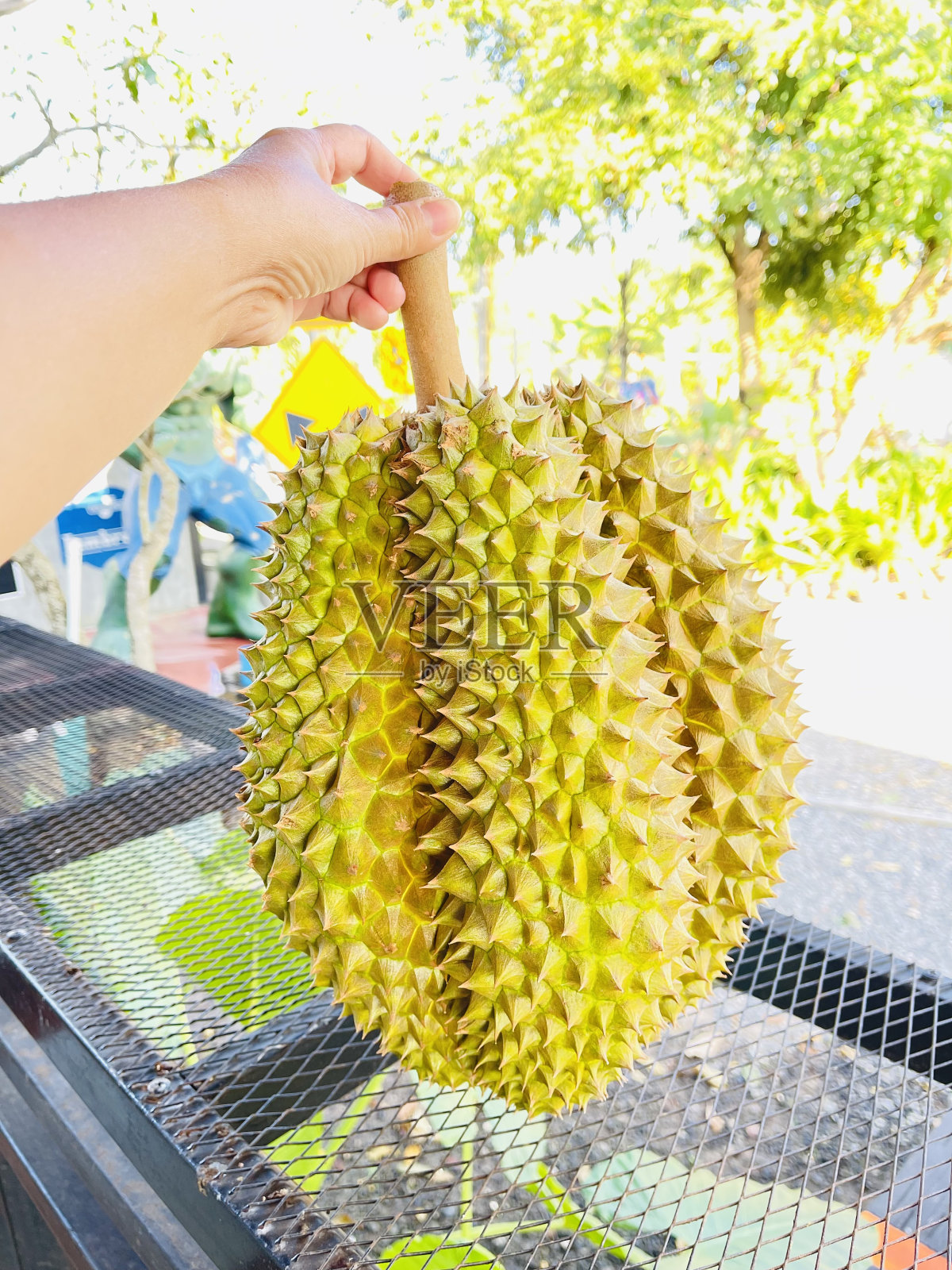 榴莲照片摄影图片