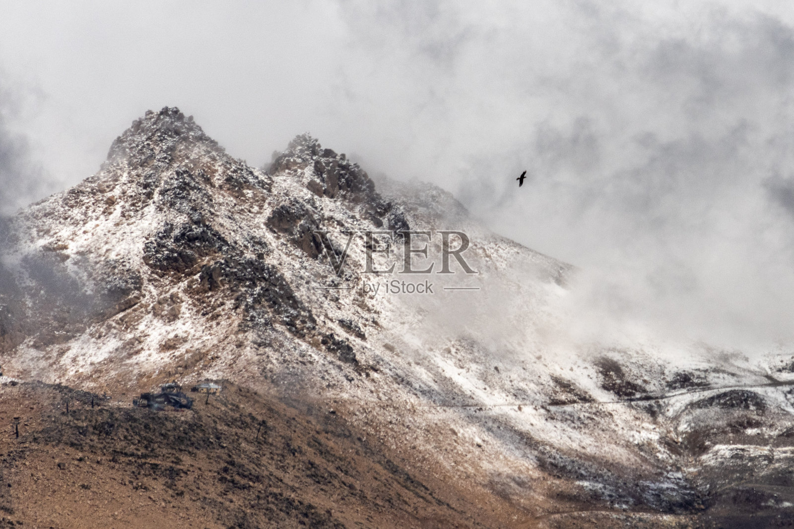 一座雪山,山顶上有一朵云,一只野鸟飞得很近照片摄影图片