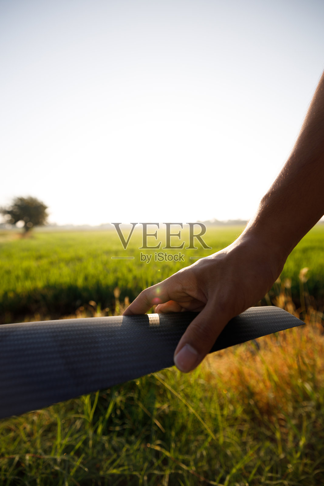 白天在稻田里的无人机特写镜头照片摄影图片