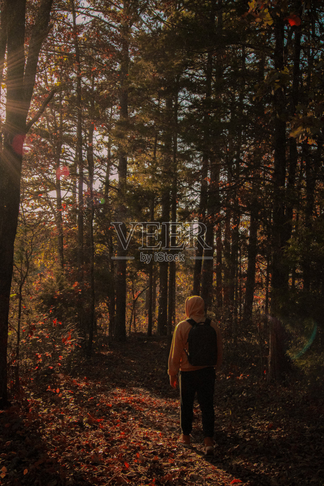 一个人在秋天的树林里跋涉照片摄影图片