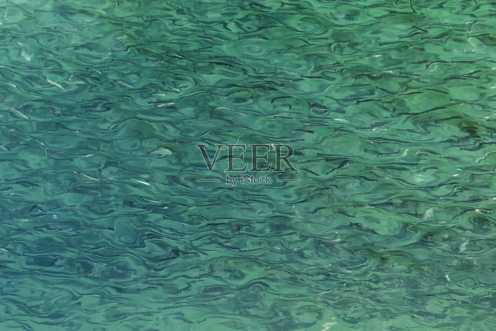 绿色的水面图案背景。照片摄影图片