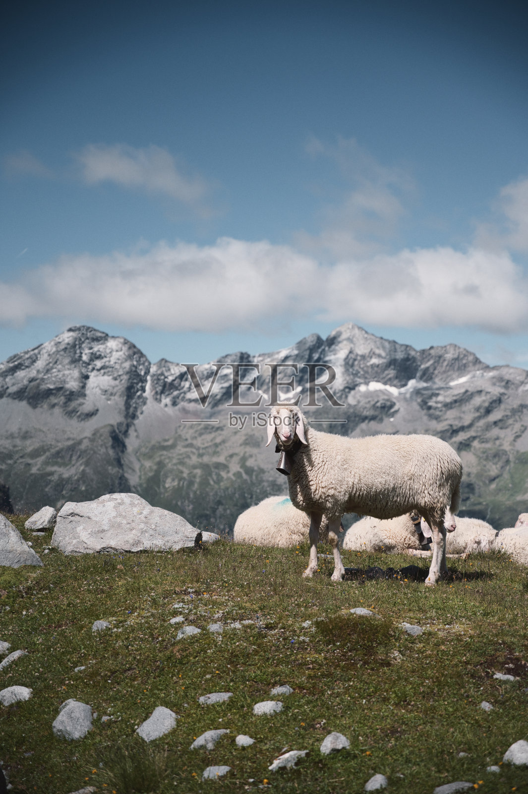 白天在山上的一只羊的垂直镜头照片摄影图片