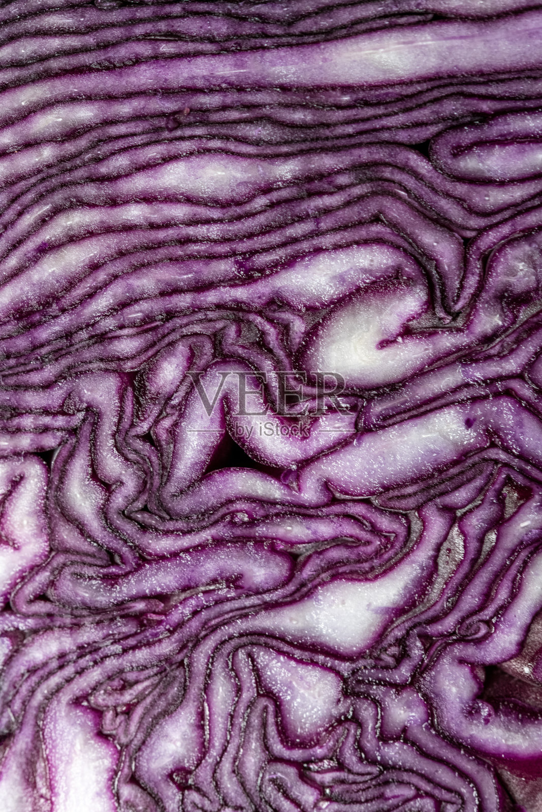 垂直特写的切片紫色卷心菜照片摄影图片