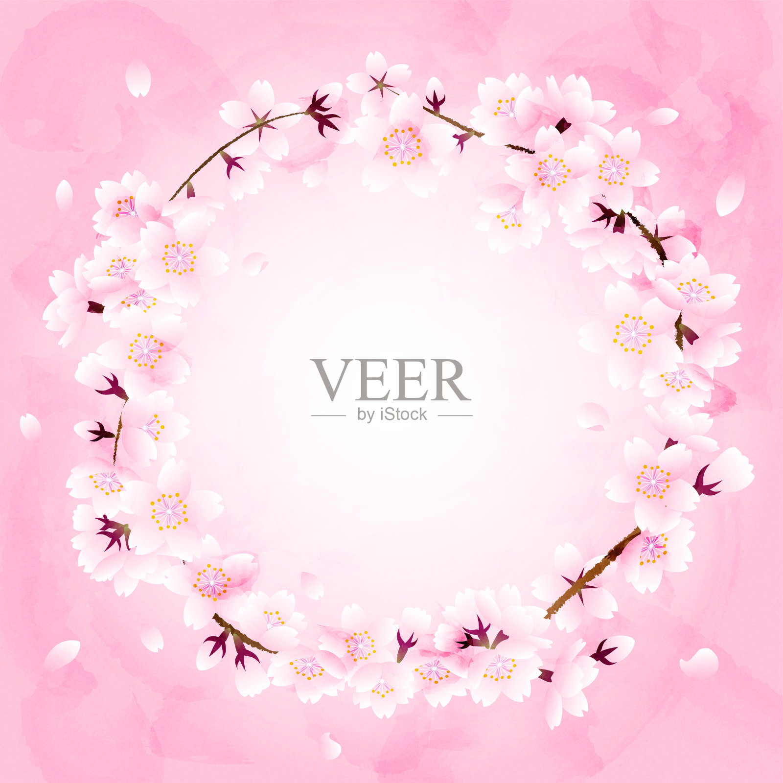 圆形框架的樱花和飘落的花瓣在粉红色的背景插画图片素材