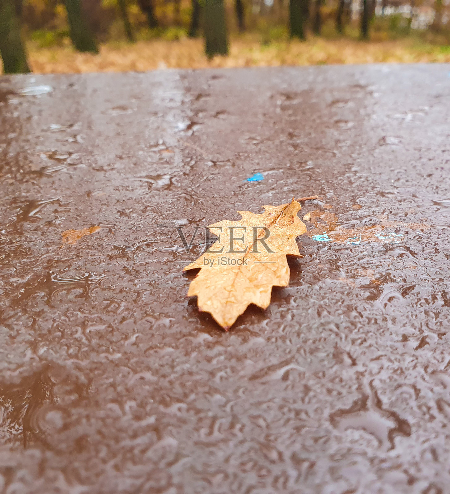 雨天照片摄影图片