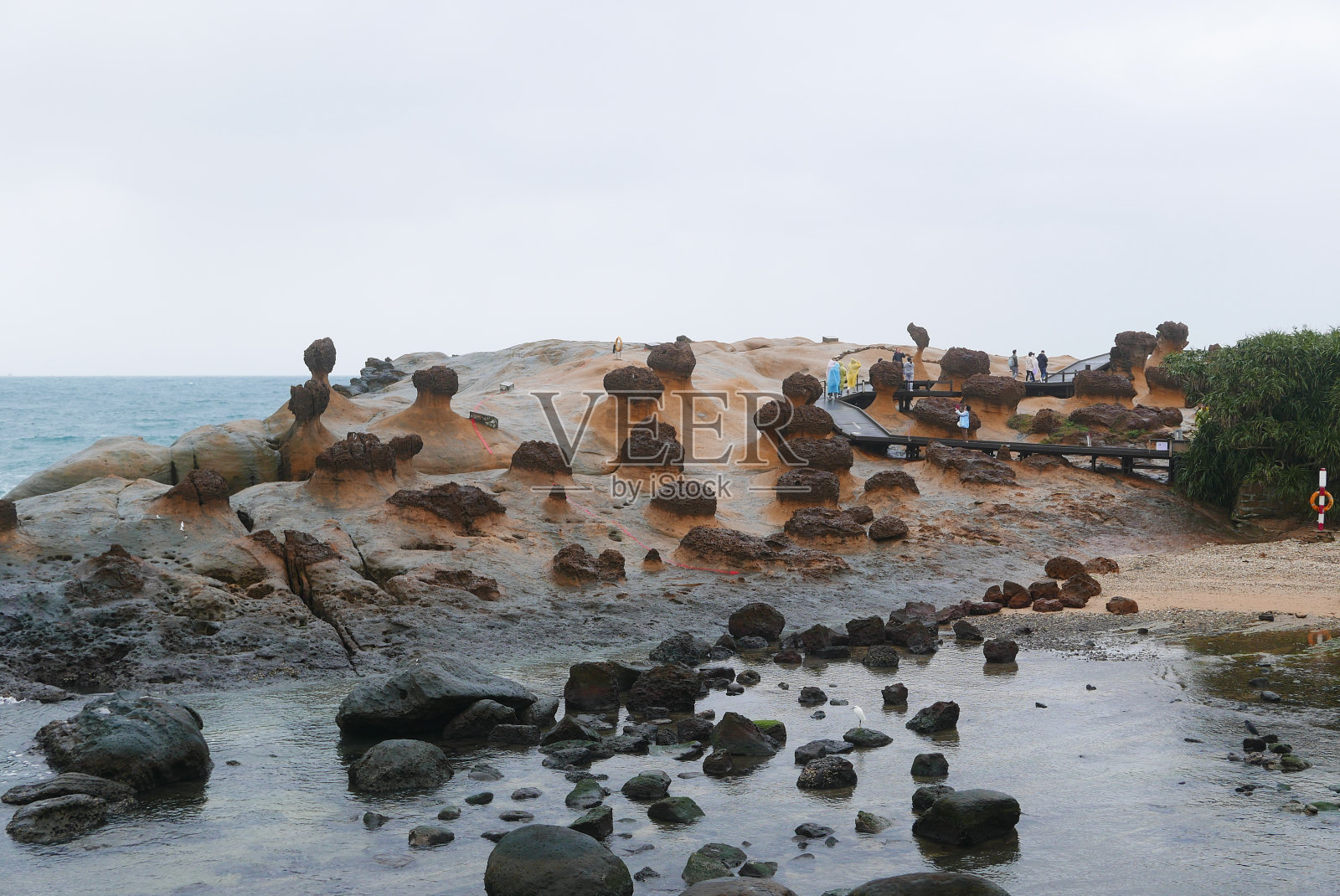 野柳海角是由大屯山形成的一个延伸入海的海角,长约1700米。当从上面俯瞰时,这个地方就像一只沉入大海的巨龟。照片摄影图片