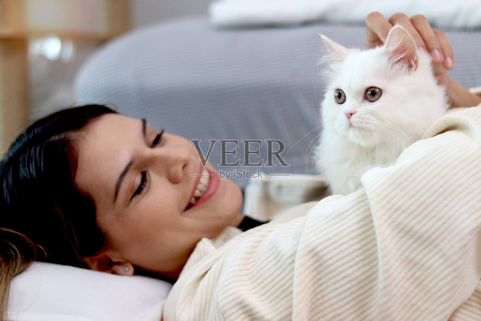 可爱的白色波斯猫坐在主人女人身上,快乐的毛茸茸的宠物舒服地坐在女人躺着的胸前,女孩和她可爱的长头发猫咪玩着爱照片摄影图片