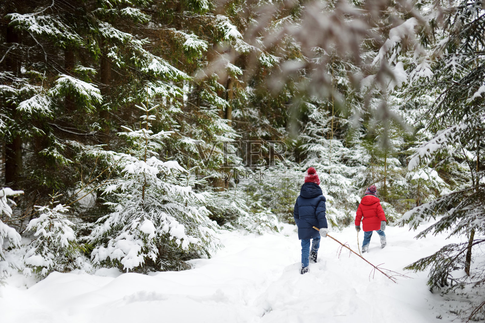 两个可爱的小女孩在美丽的冬天森林里一起玩。美丽的姐妹在雪中玩耍。照片摄影图片