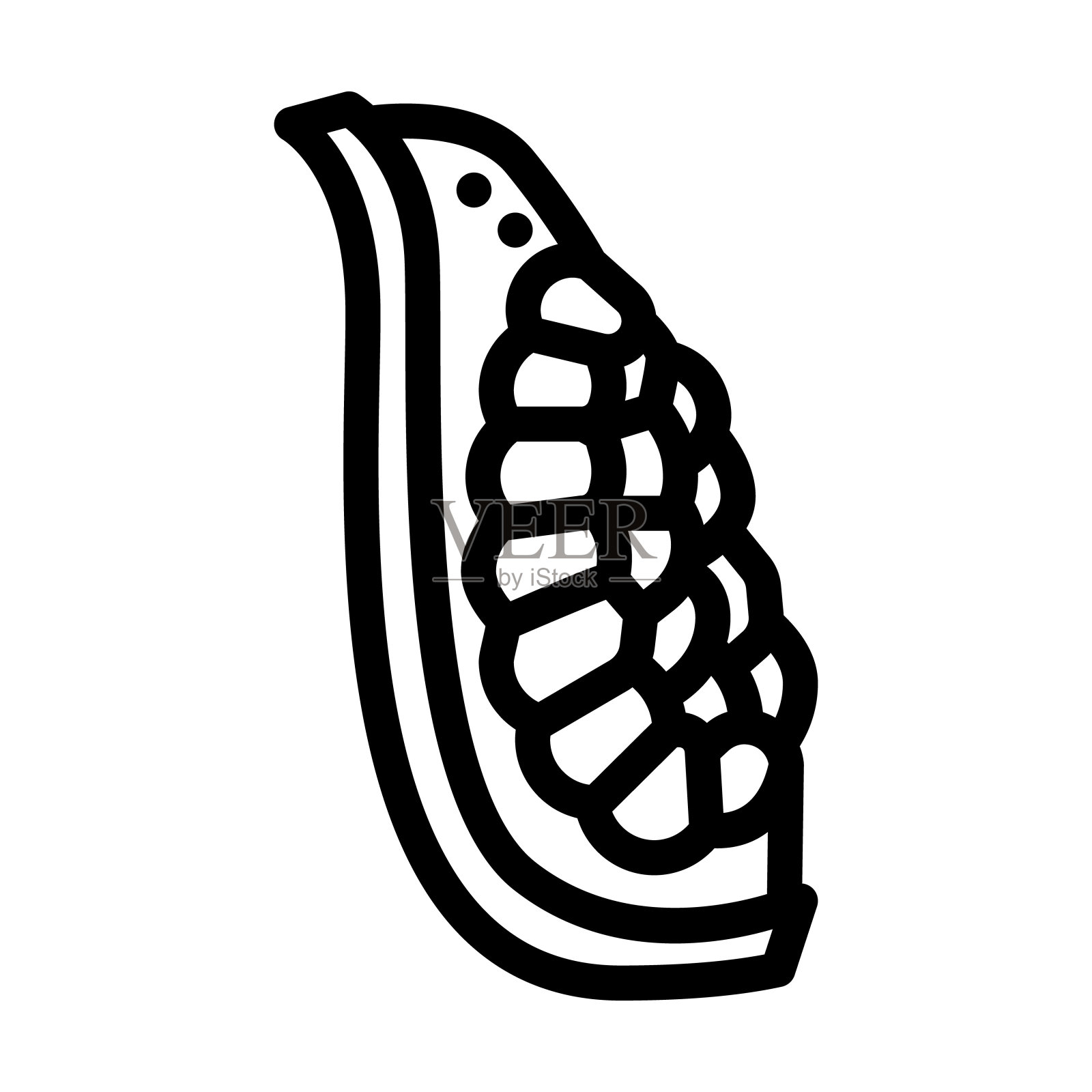 石榴切熟切片线图标矢量插图插画图片素材