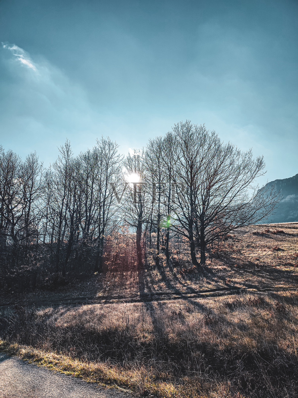 冬天如春照片摄影图片