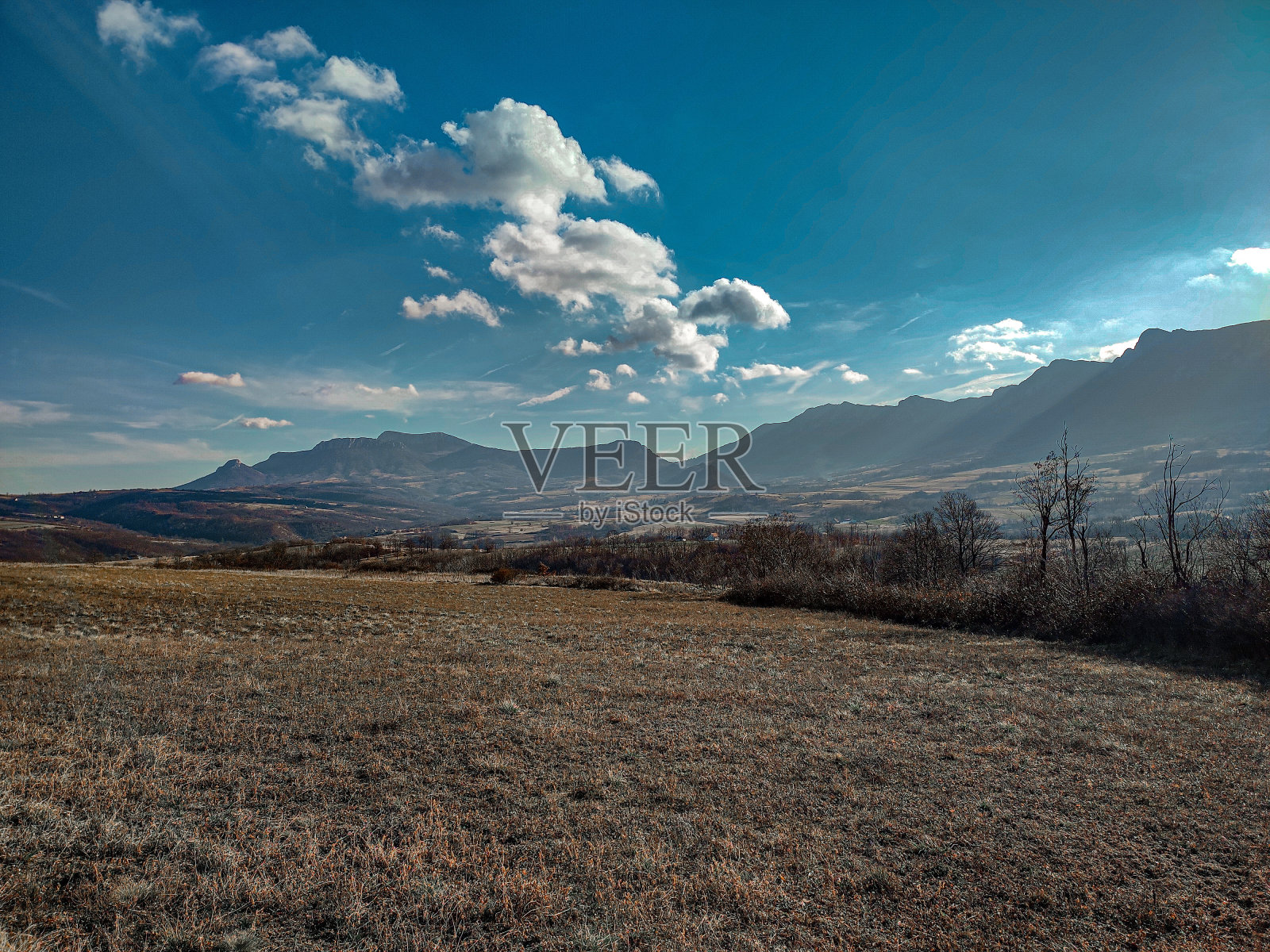 冬天如春照片摄影图片