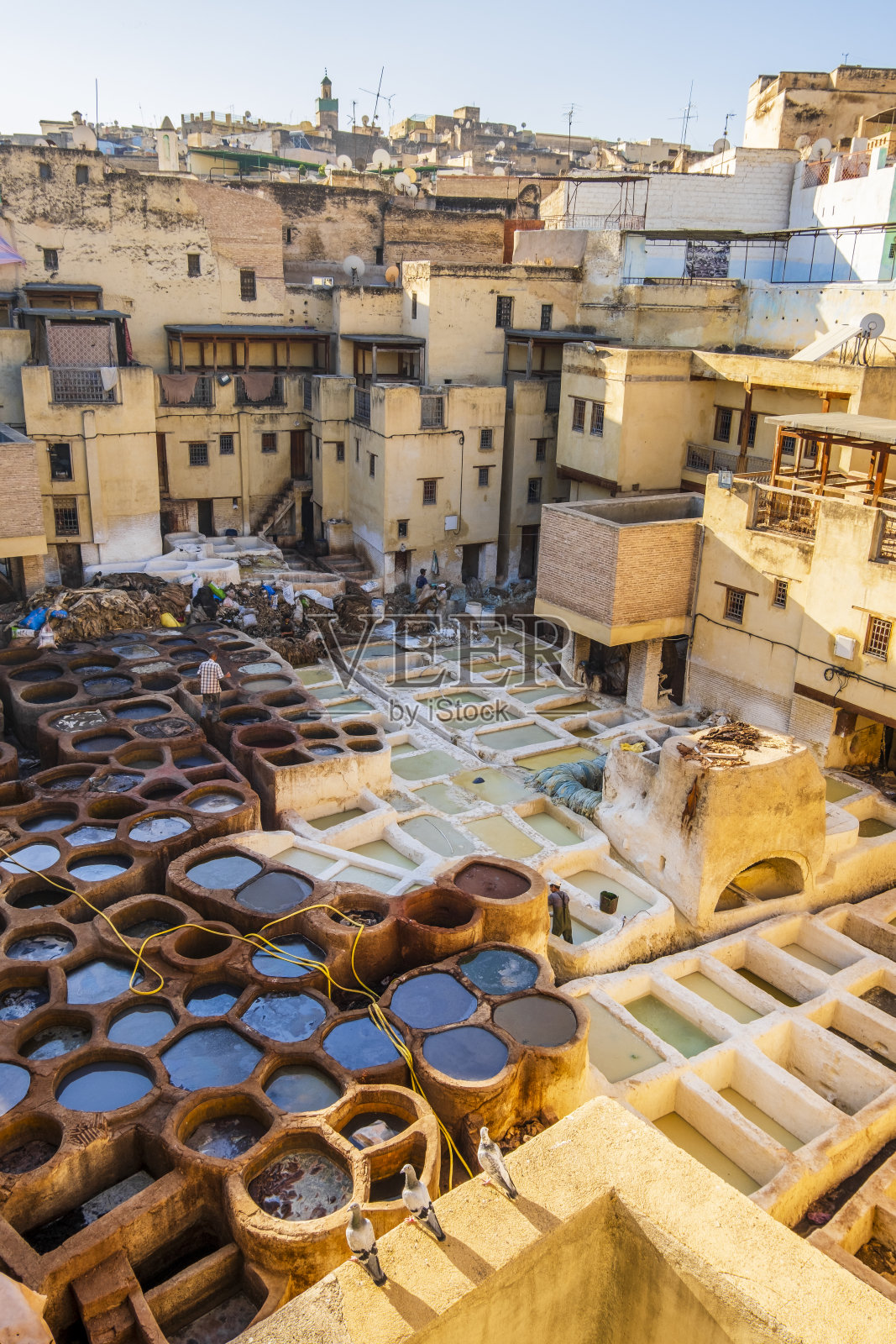 北非摩洛哥非斯的著名制革厂照片摄影图片