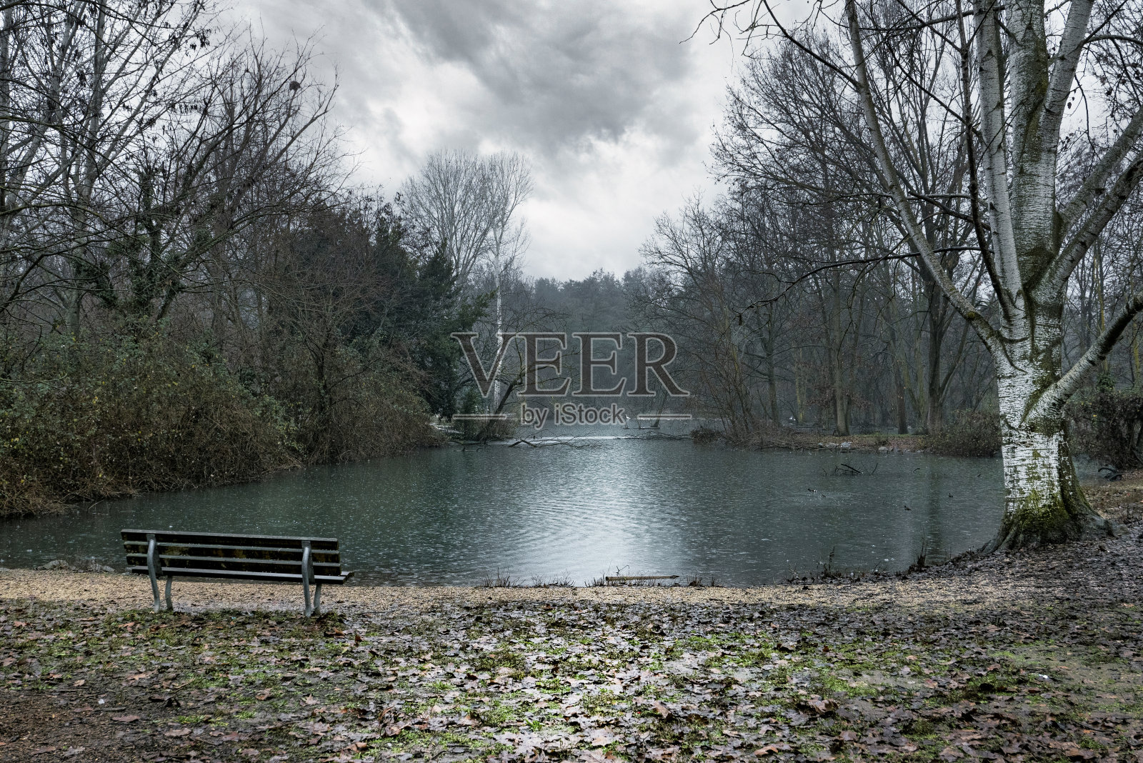 带湖公园照片摄影图片