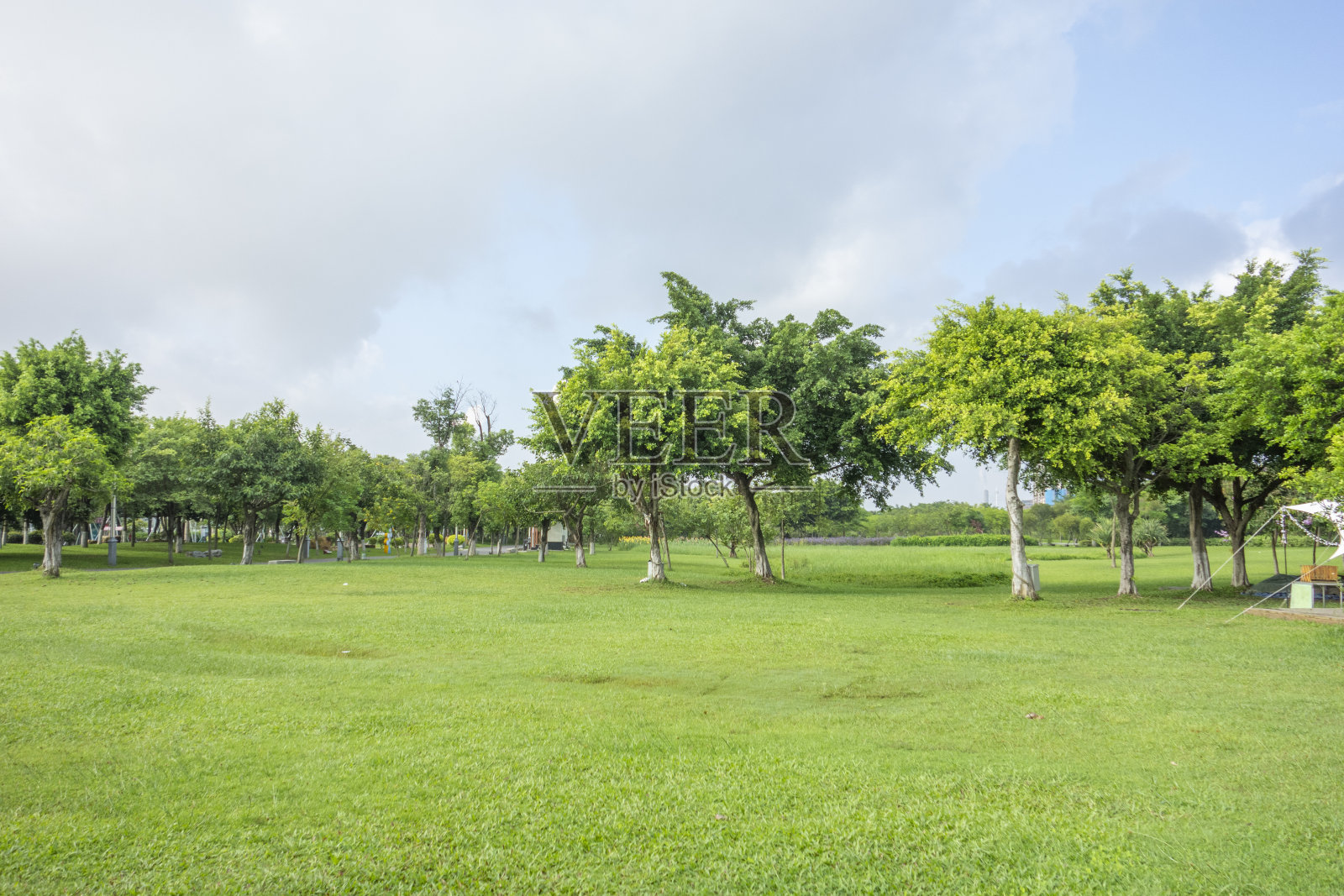 夏天公园里的绿色草坪照片摄影图片
