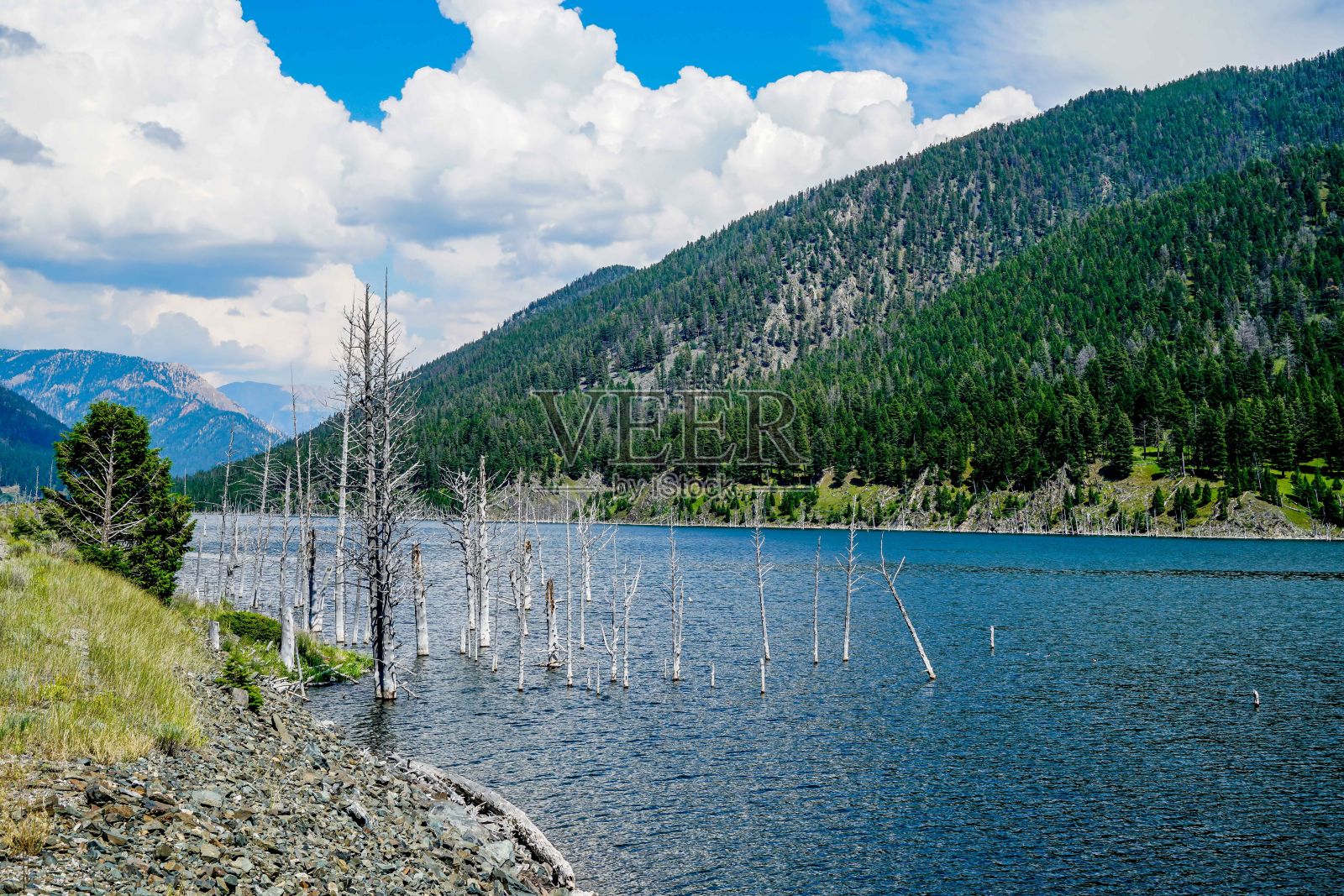 美丽的田野在乡村,河流被茂密的树木和山丘包围在阴云密布的天空下照片摄影图片