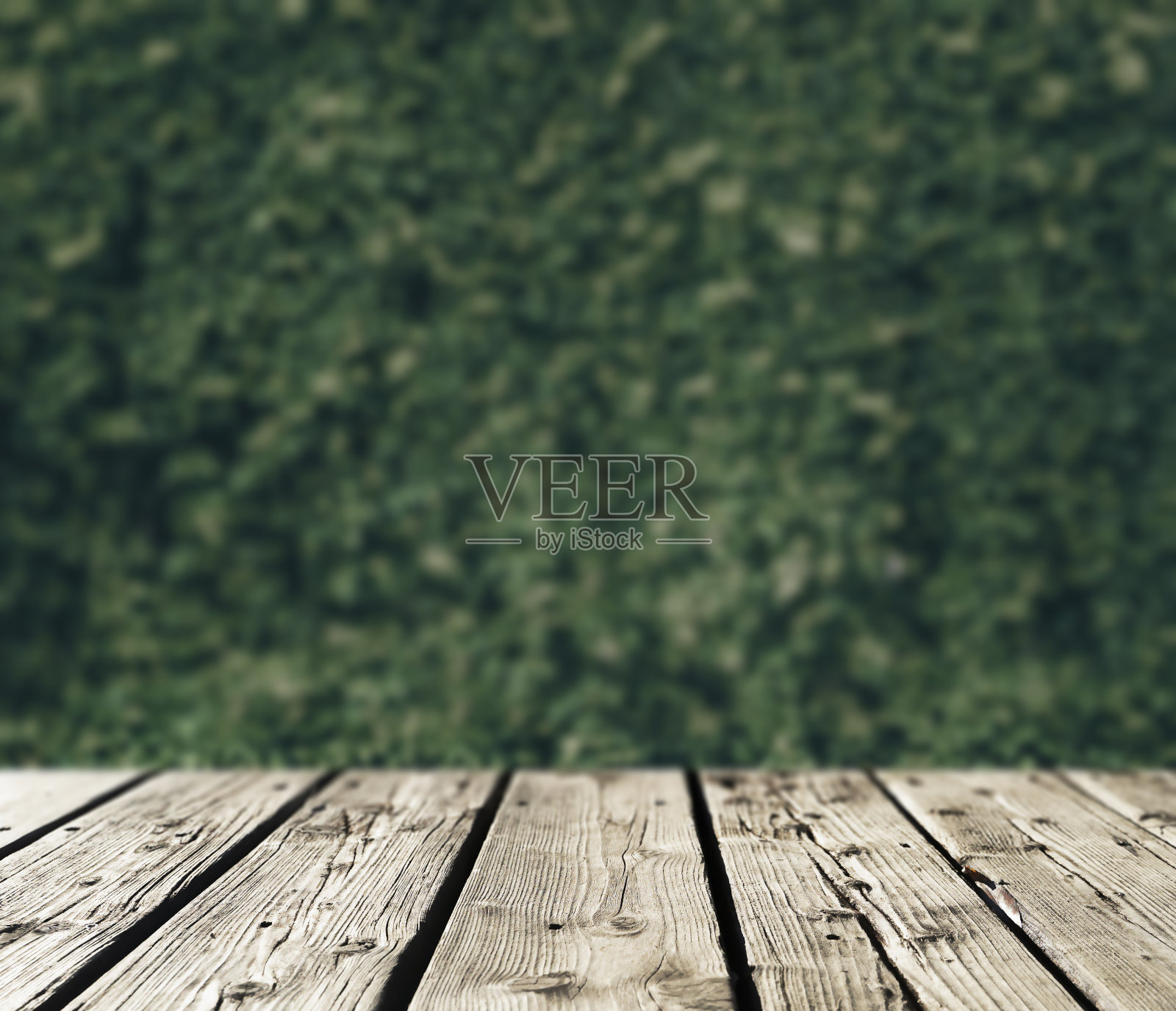 春天的木制背景与绿叶的背景。照片摄影图片