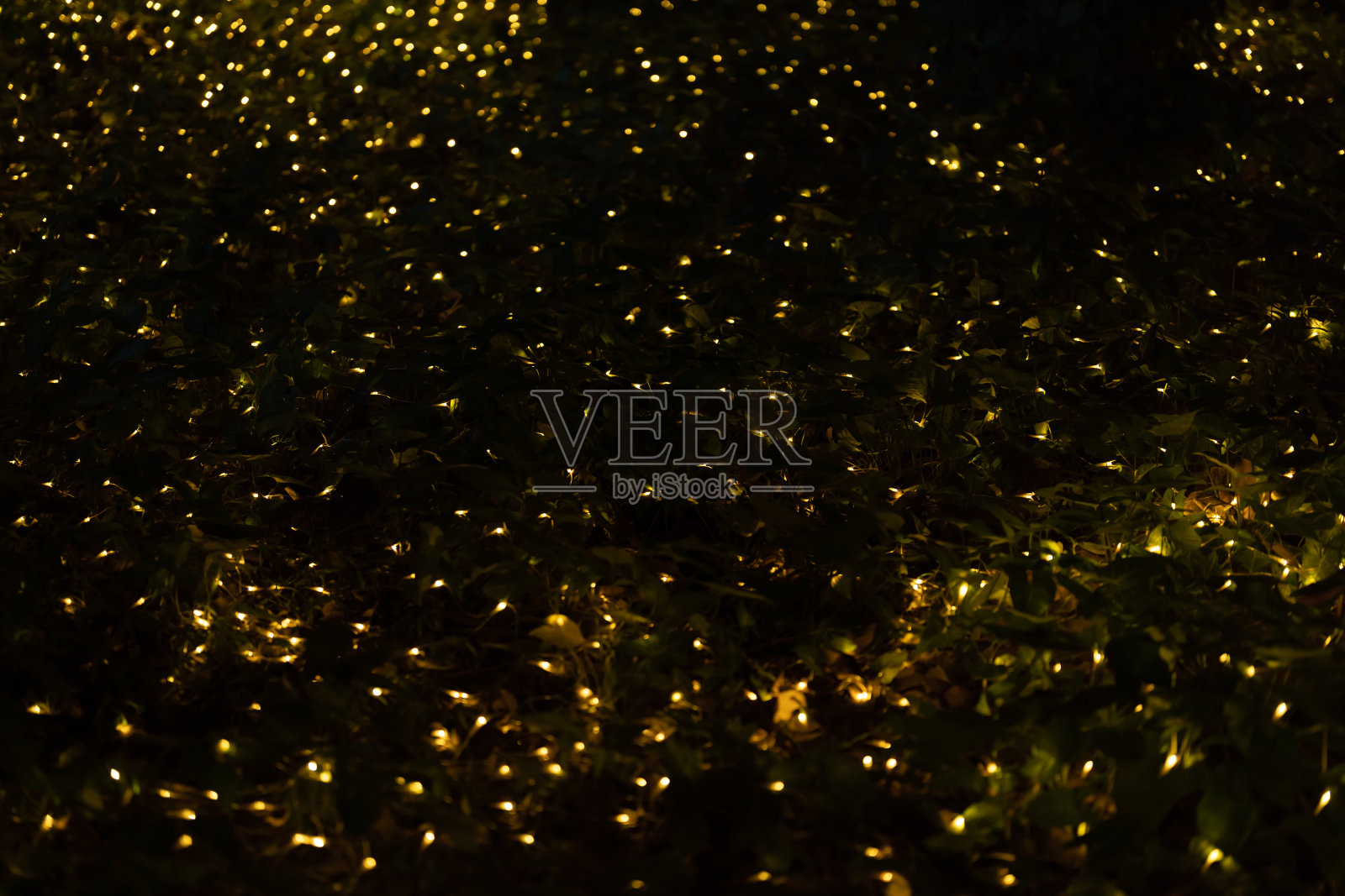 花。抽象的散景模糊背景的节日庆祝概念。照明照片摄影图片