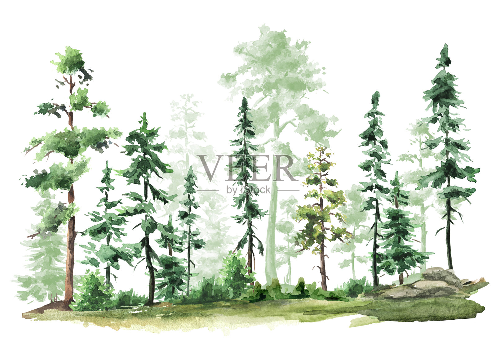 野生森林景观。手绘水彩插图,孤立的白色背景插画图片素材