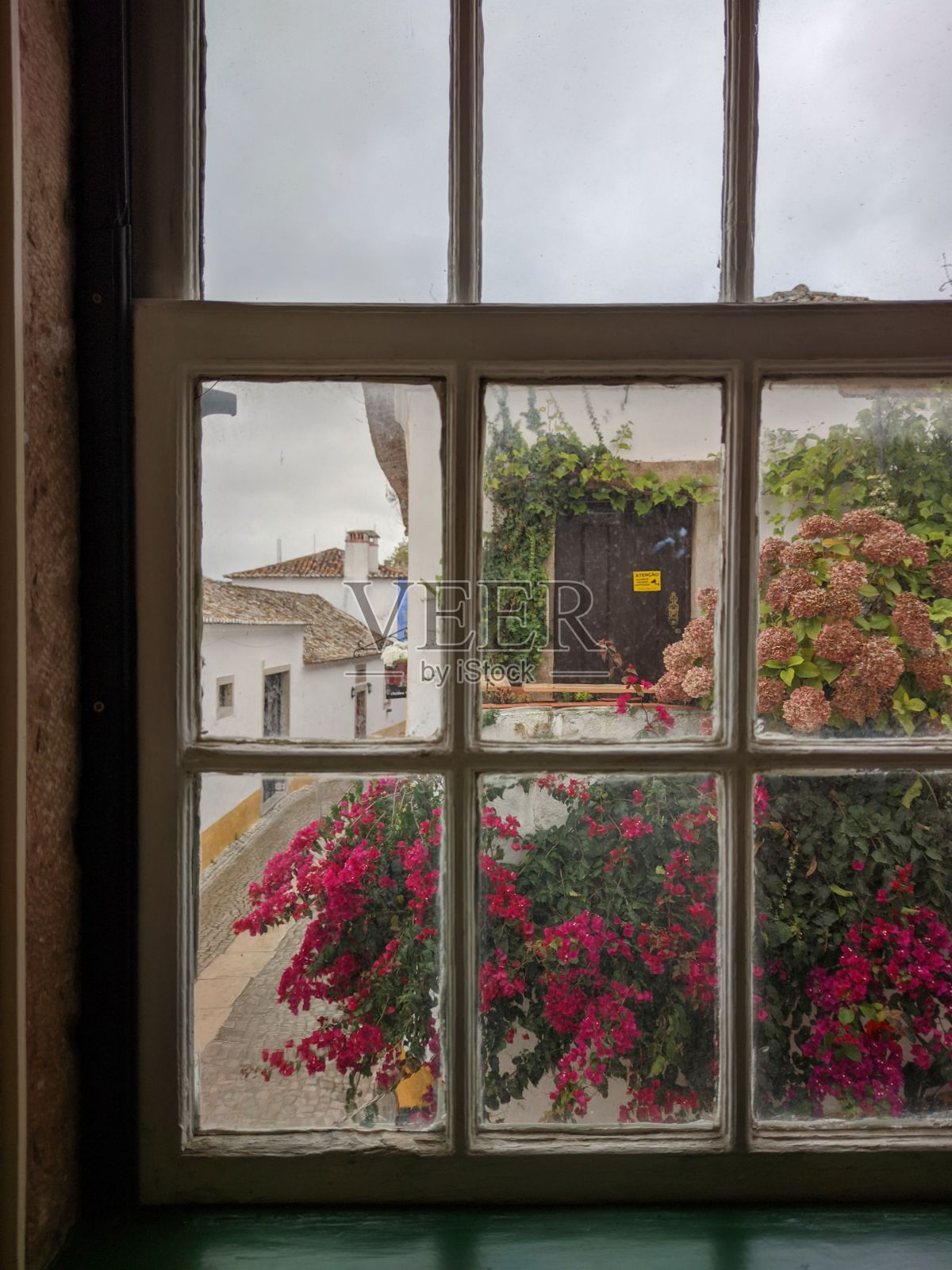 垂直拍摄房子内的窗户和花园的风景照片摄影图片