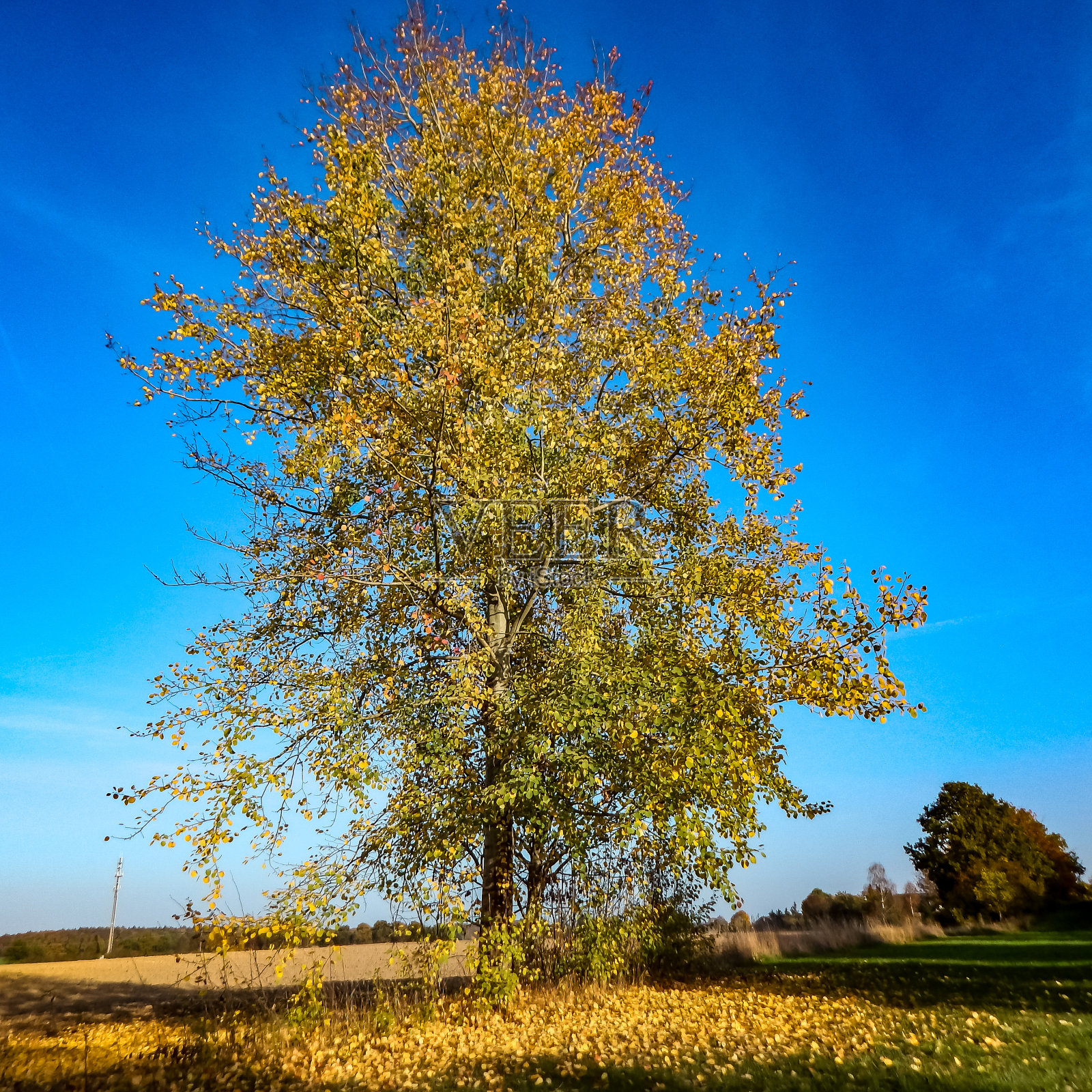 德国北部自然风景摄影照片摄影图片