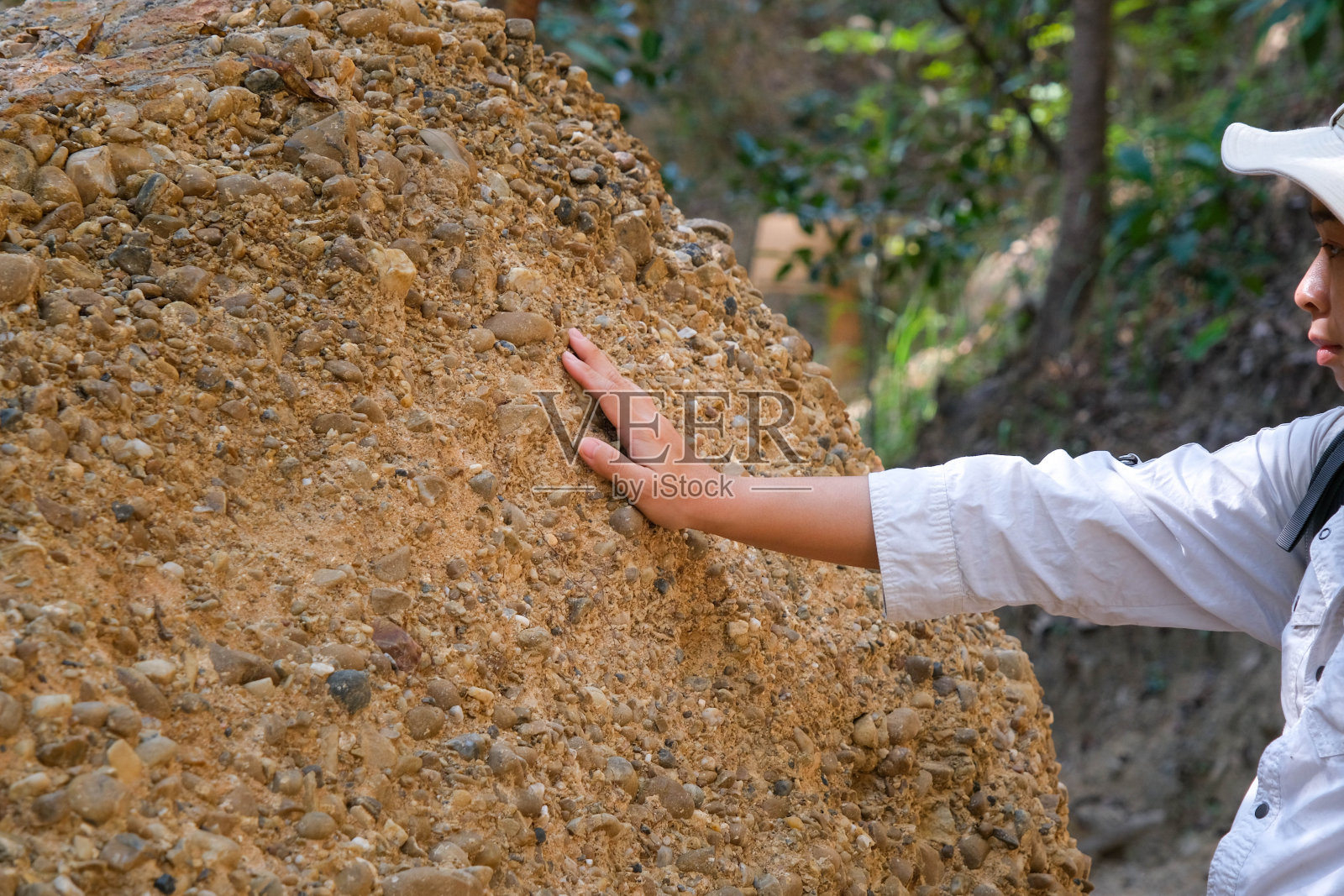 背着背包的女地质学家在森林中探索自然小径,分析岩石或砾石。研究人员收集生物材料样本。环境与生态研究。照片摄影图片