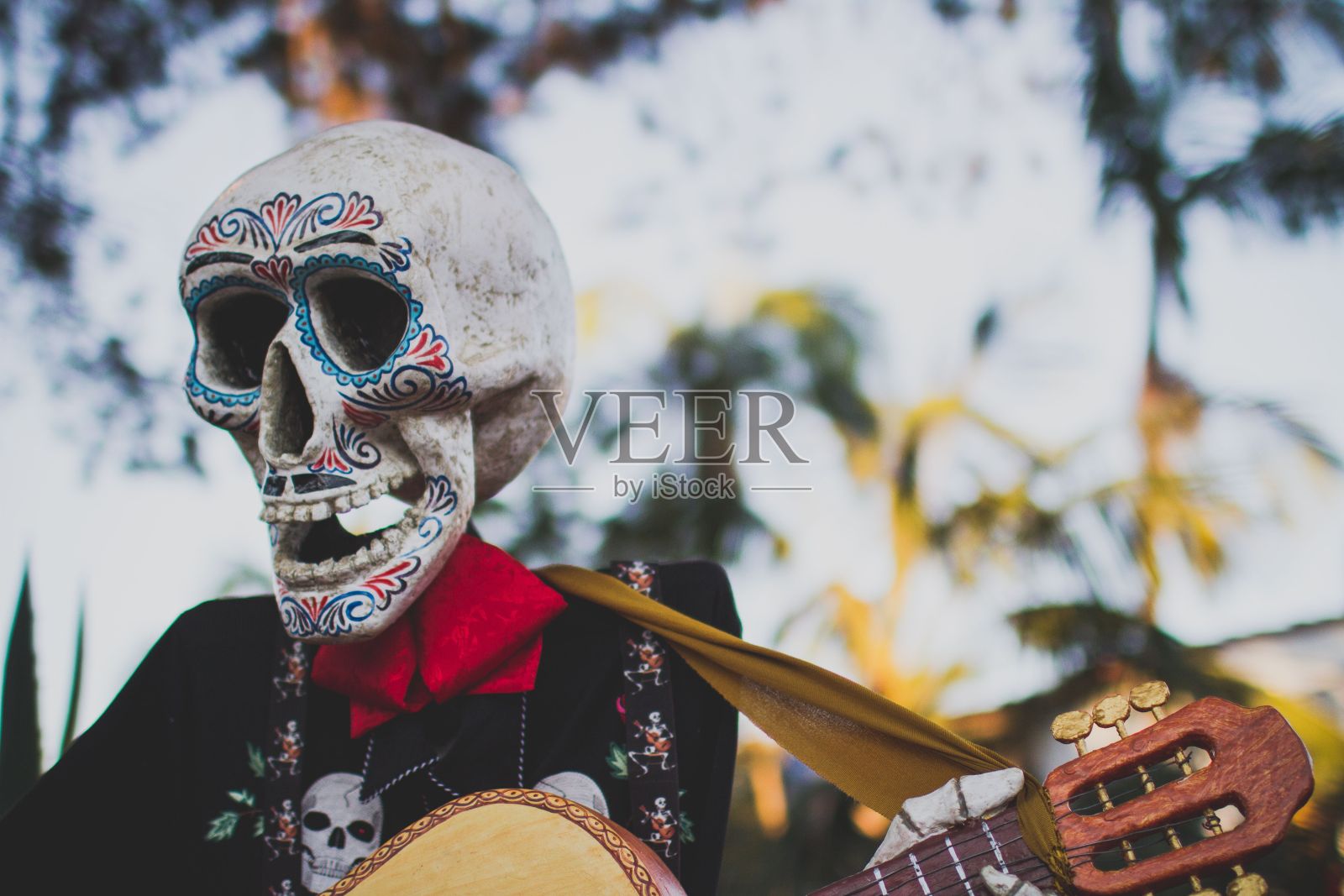 亡灵节的装饰照片摄影图片