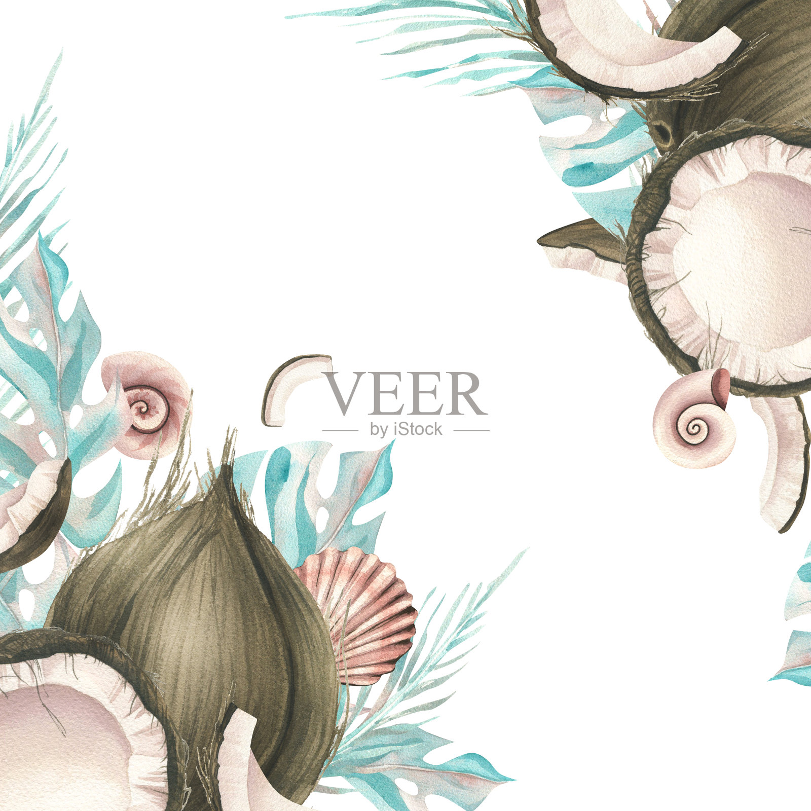 完整的椰子和热带棕榈叶和贝壳片。水彩插图。在白色背景上的模板,从椰子集合。用于装饰和设计插画图片素材