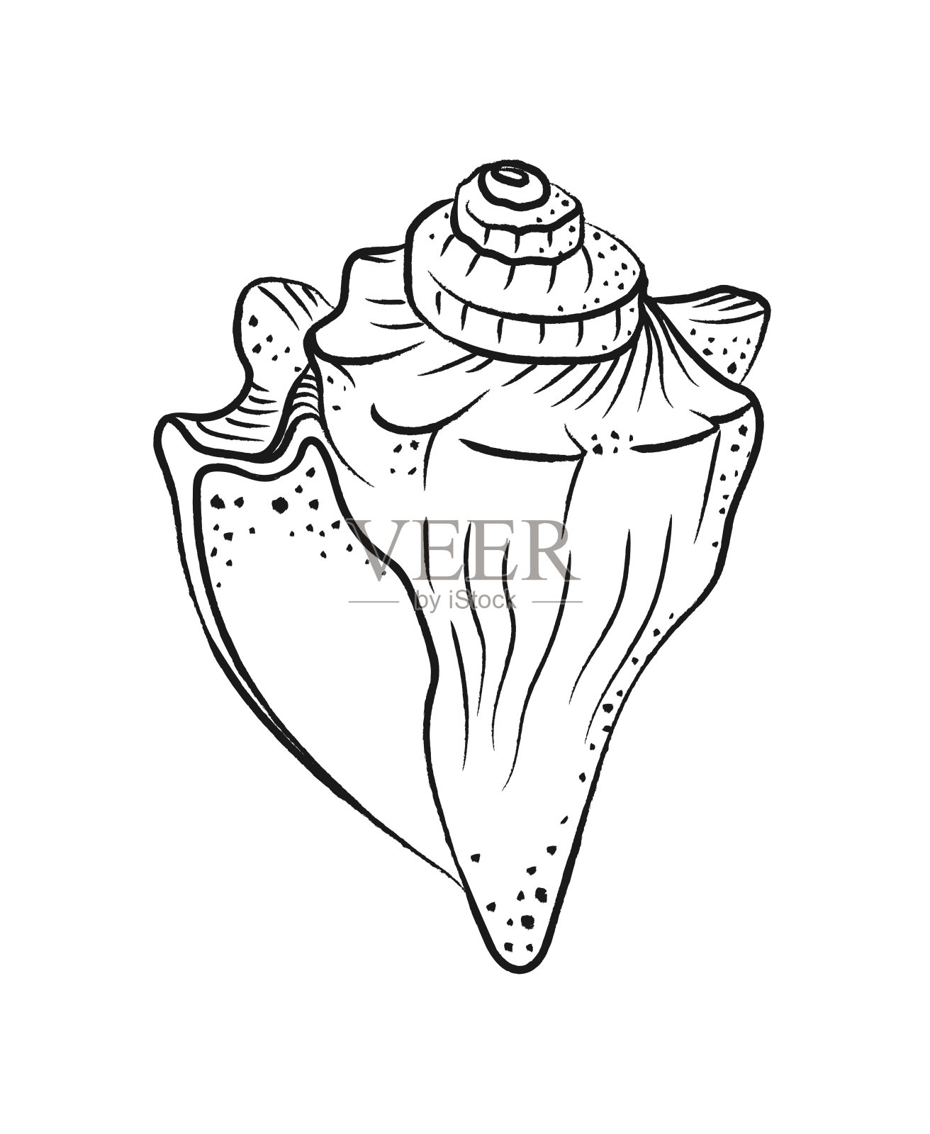海螺矢量插图。抽象的波西米亚素描涂鸦风格。菜单插图,海鲜餐厅设计,度假酒店水疗中心,冲浪板。墙壁艺术印刷,t恤,手机壳插画图片素材