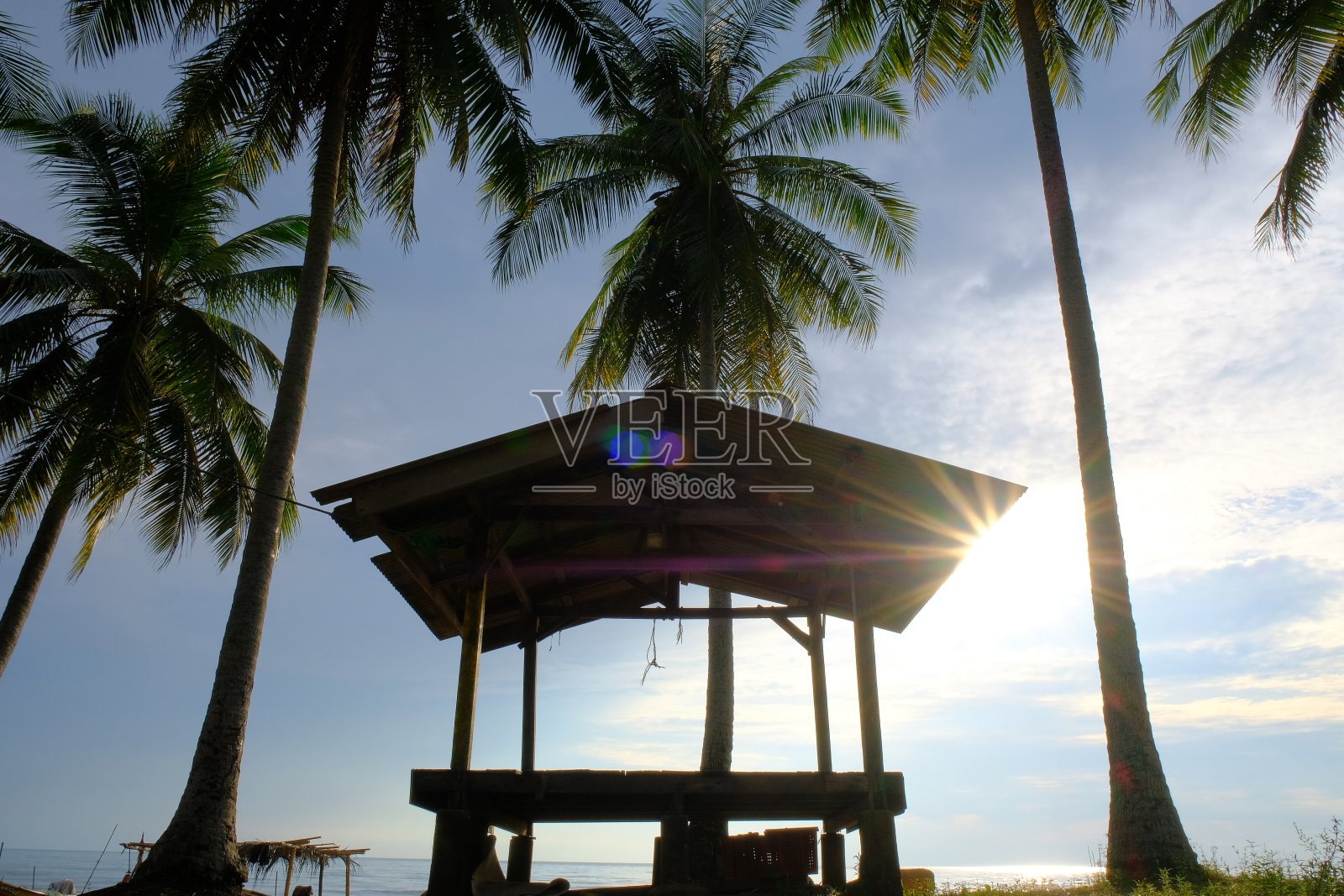 热带凉亭在伊拉马海滩与椰子树在吉兰丹,马来西亚照片摄影图片