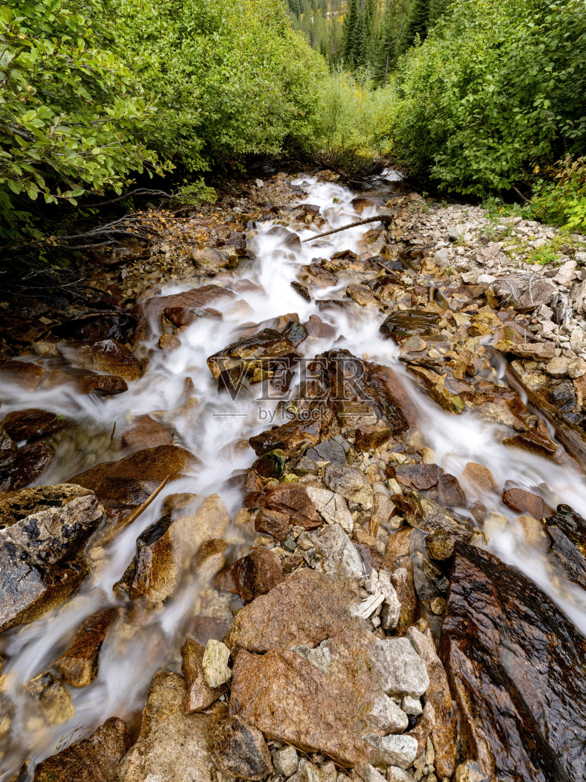 爱达荷州荒野中的落基山溪照片摄影图片