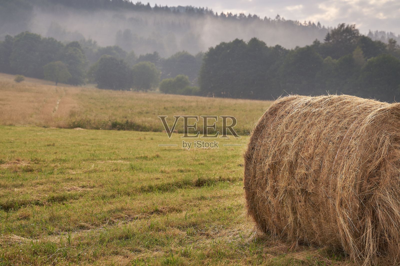 近距离拍摄的干草捆附近的森林在一个雾天照片摄影图片