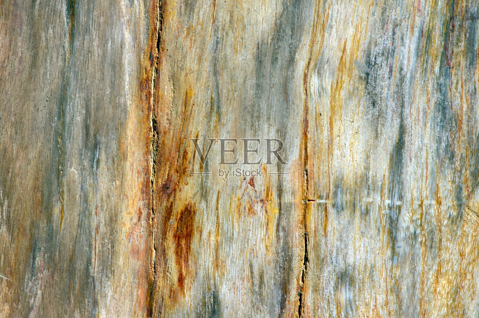 天然石化柚木,化石质地照片摄影图片