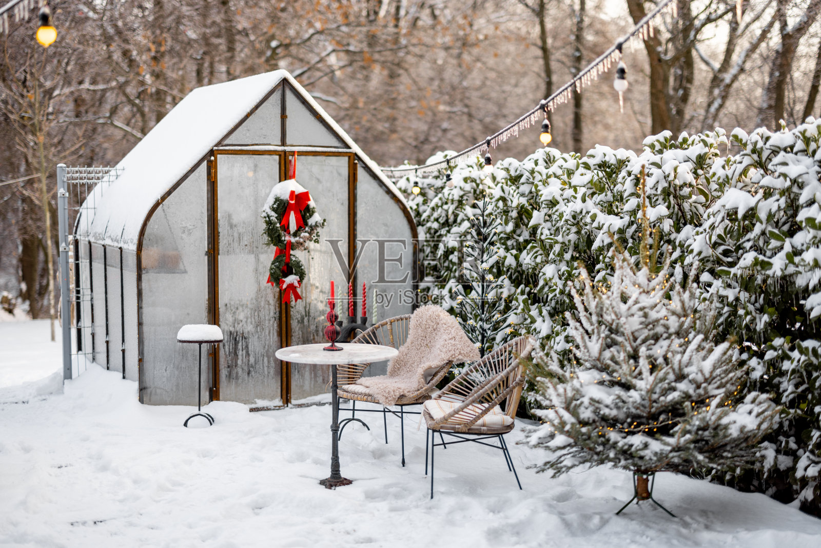 有玻璃温室和圣诞树的雪院子照片摄影图片