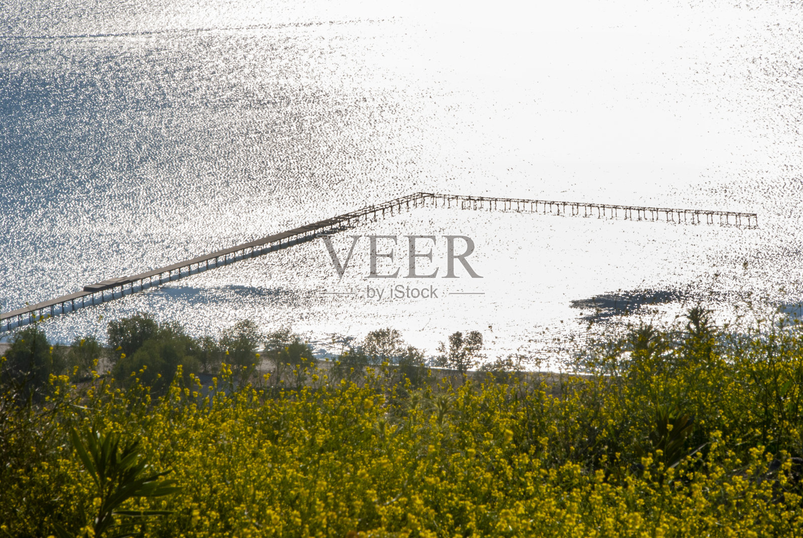 木制码头与海洋景观照片摄影图片