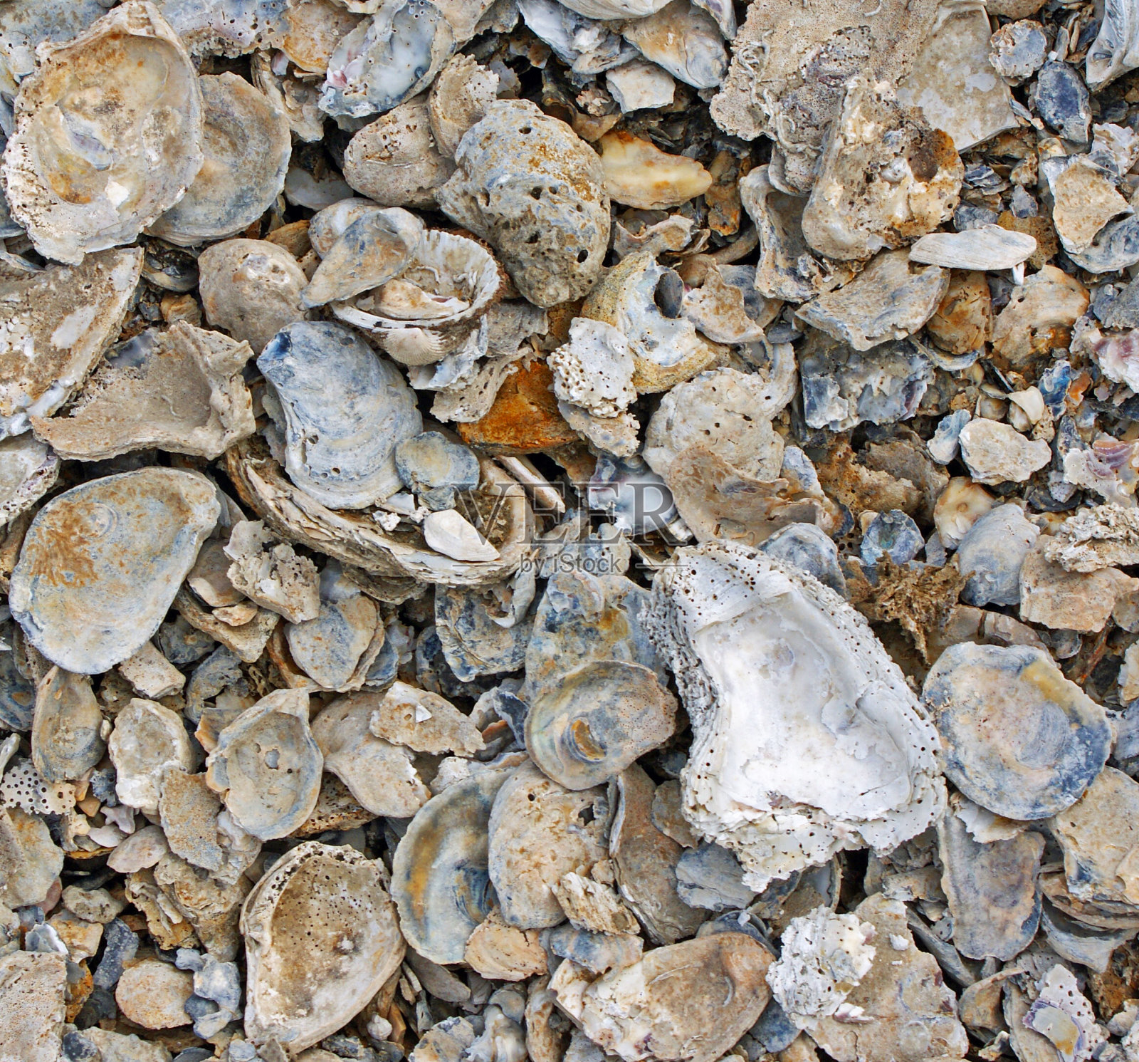 新泽西照片摄影图片