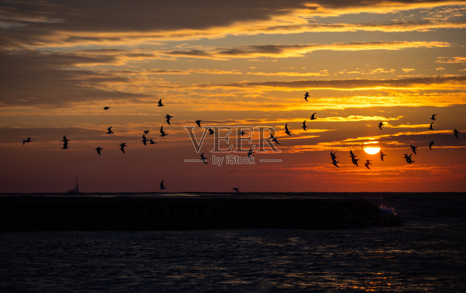 海鸥在日落时飞翔照片摄影图片