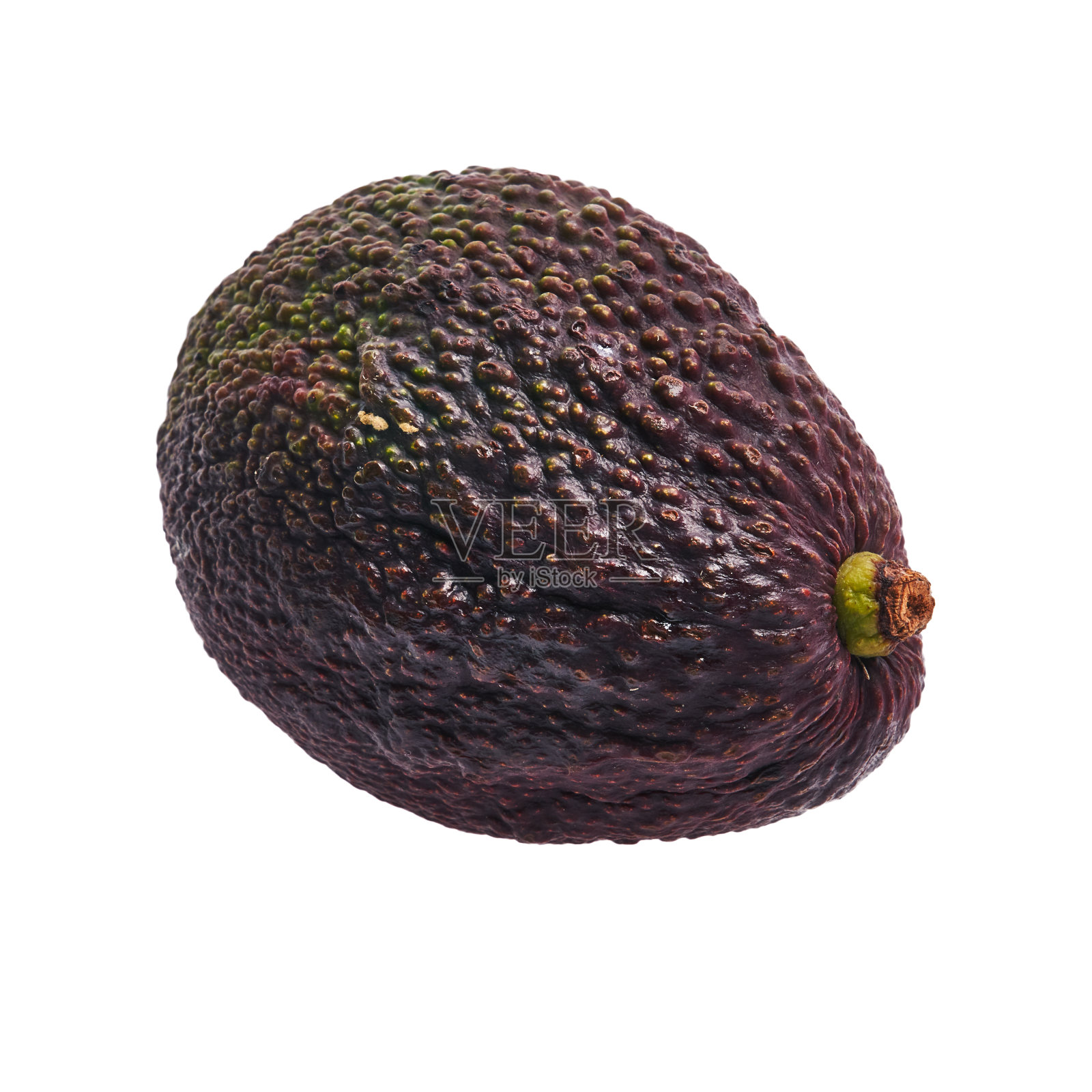 单一的鳄梨水果孤立在白色背景照片摄影图片