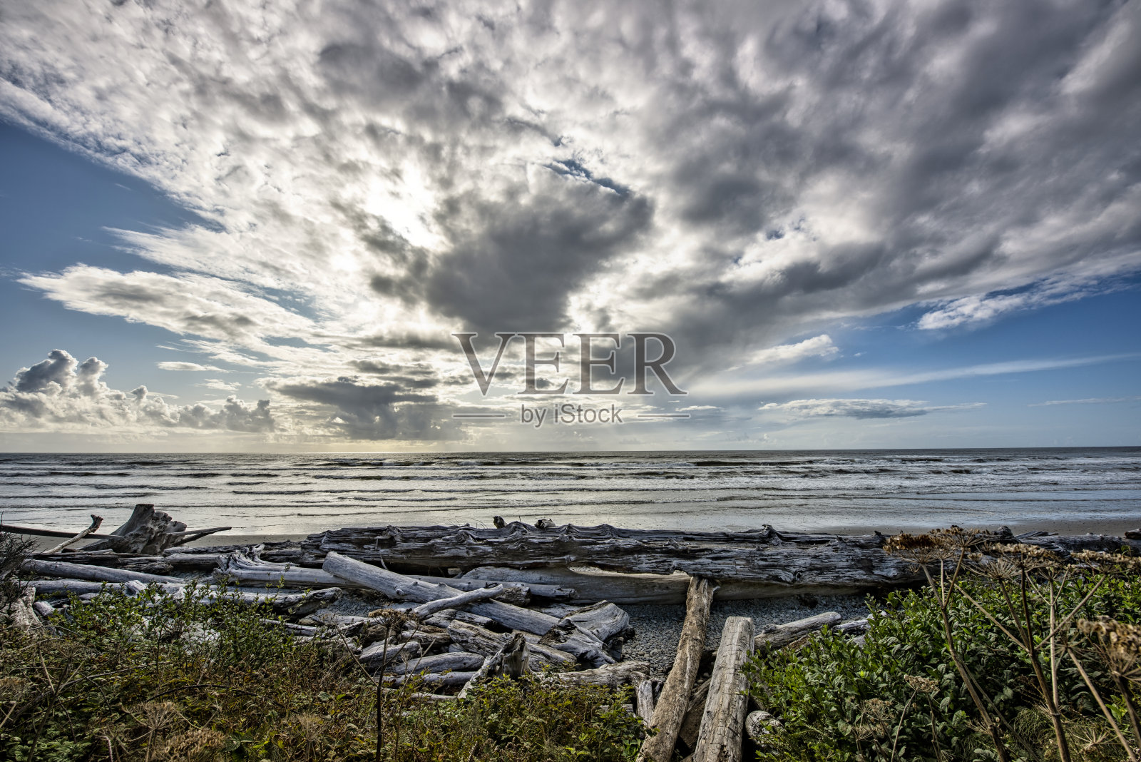 海洋海滩上的浮木照片摄影图片