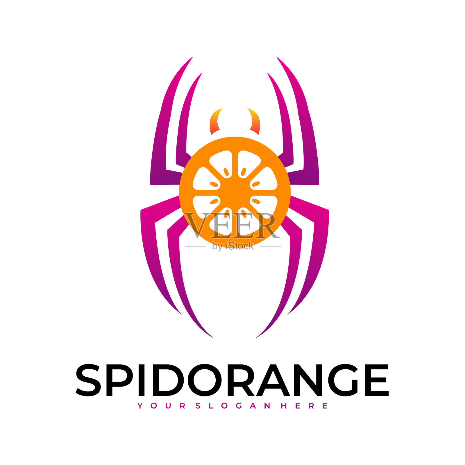 蜘蛛与橙色模板颜色插画图片素材