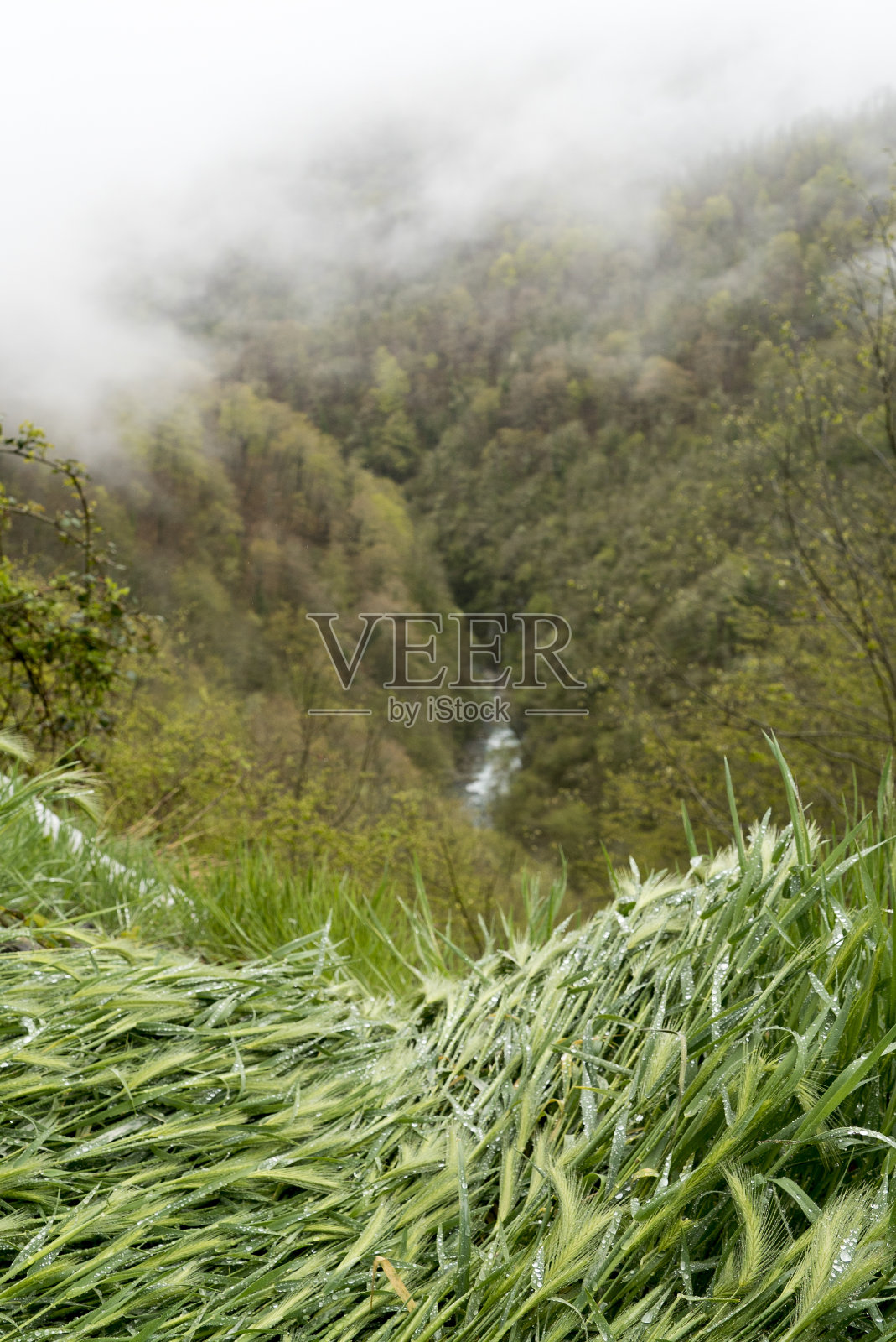 美妙的雾蒙蒙的山间雨天照片摄影图片
