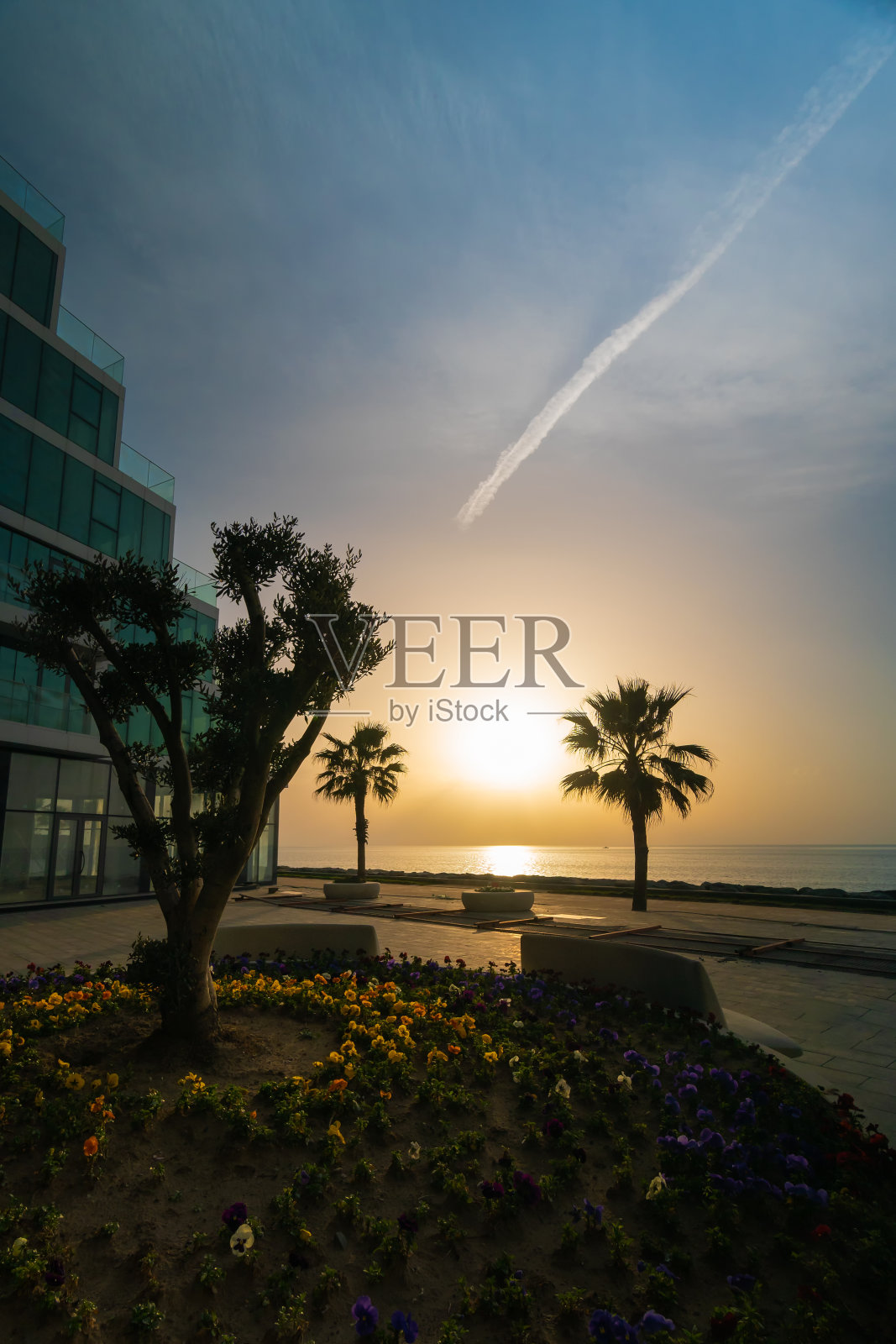 堤岸上棕榈树、鲜花和玻璃现代建筑的美丽日落(竖版照片)照片摄影图片