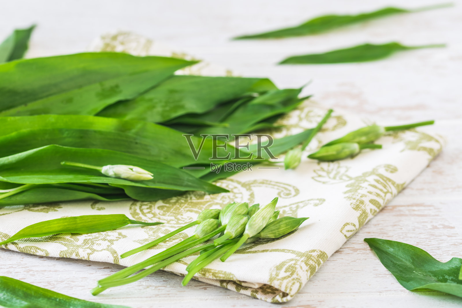 白色背景上的野生大蒜芽和叶子照片摄影图片