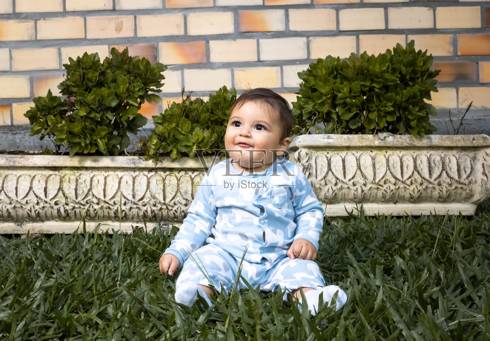 小男孩穿着蓝白相间的衣服,坐在草坪上,背景是一堵砖墙,望着灯光,脸上露出快乐的表情。提到婴儿和表情,第一课。照片摄影图片