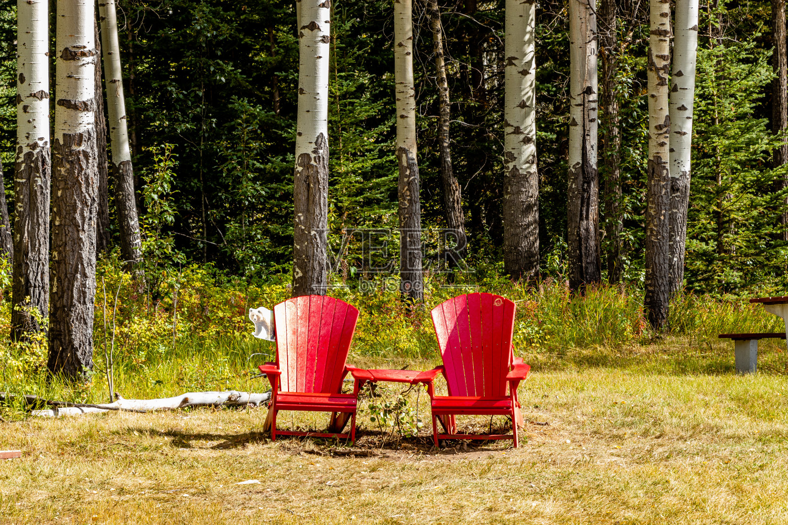 加拿大阿尔伯塔省木勒舒班夫国家公园照片摄影图片