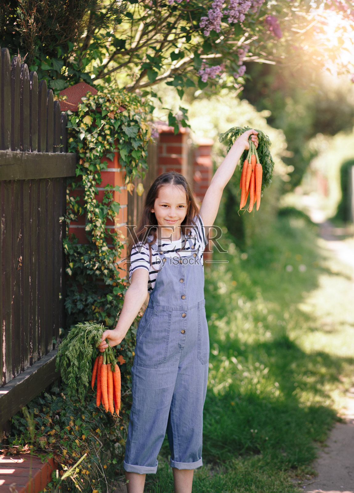 花园里拿着新鲜胡萝卜的微笑小女孩照片摄影图片