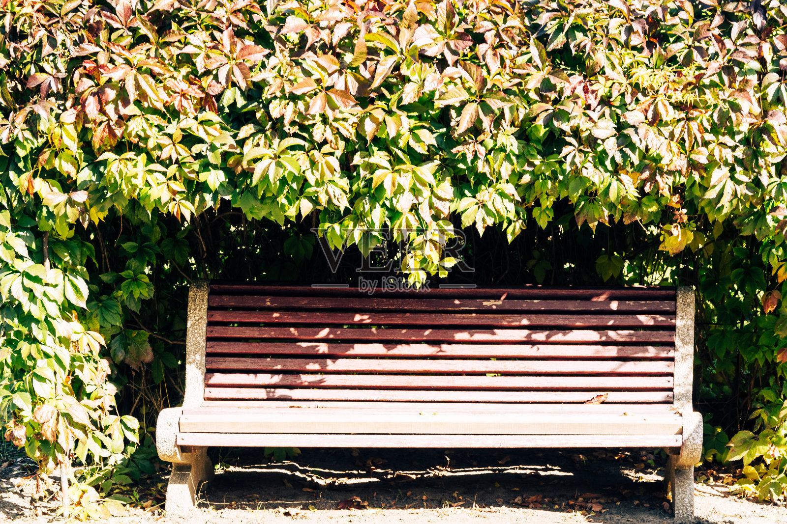 秋公园长椅照片摄影图片