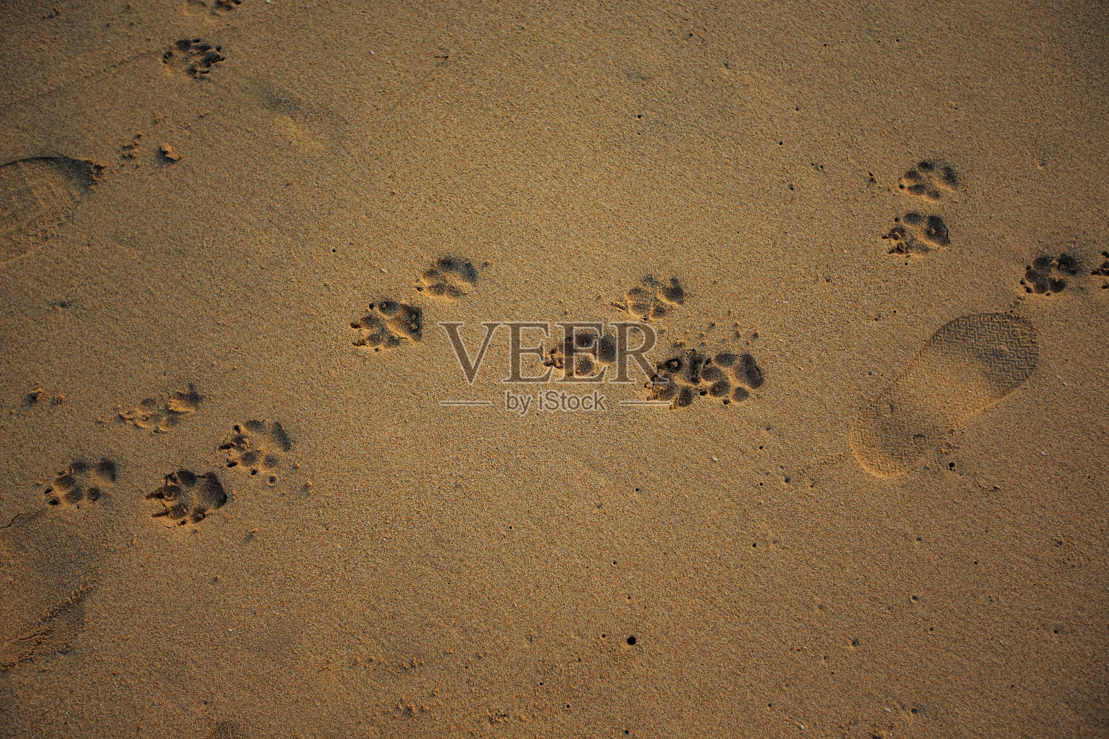 日出@帕西库达海滩,东部省份,斯里兰卡照片摄影图片