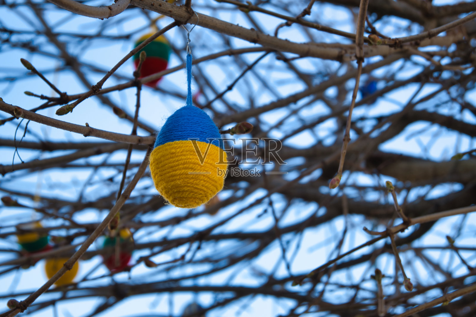 挂满复活节装饰的树枝照片摄影图片